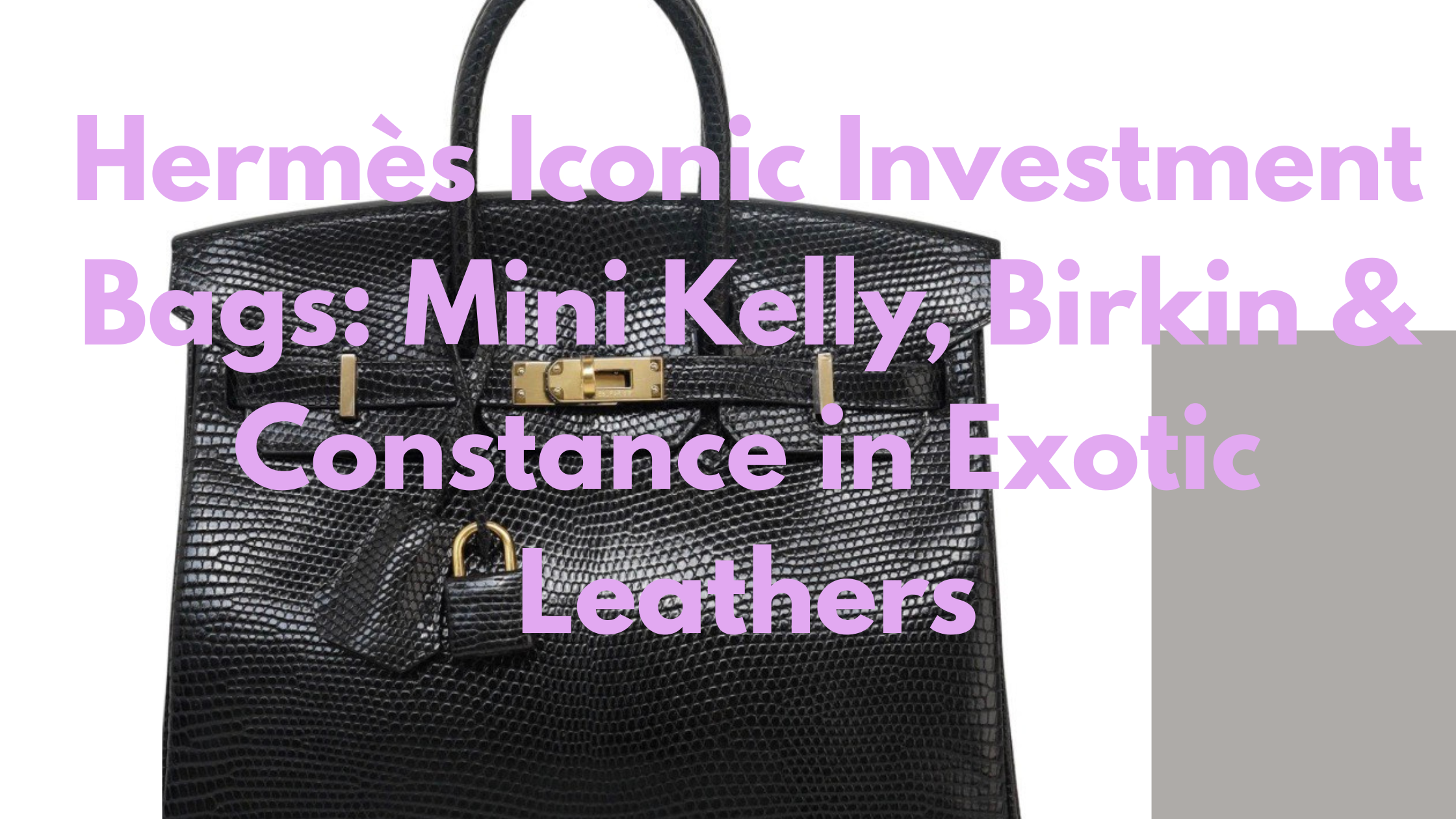 Hermès Iconic Investment Bags: Mini Kelly, Birkin & Constance in Exotic Leathers