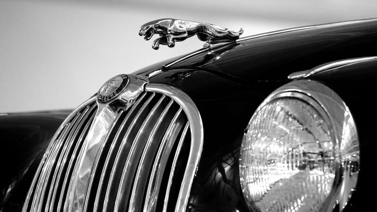 Royaluxe and Co.: Curating Your World of Luxury