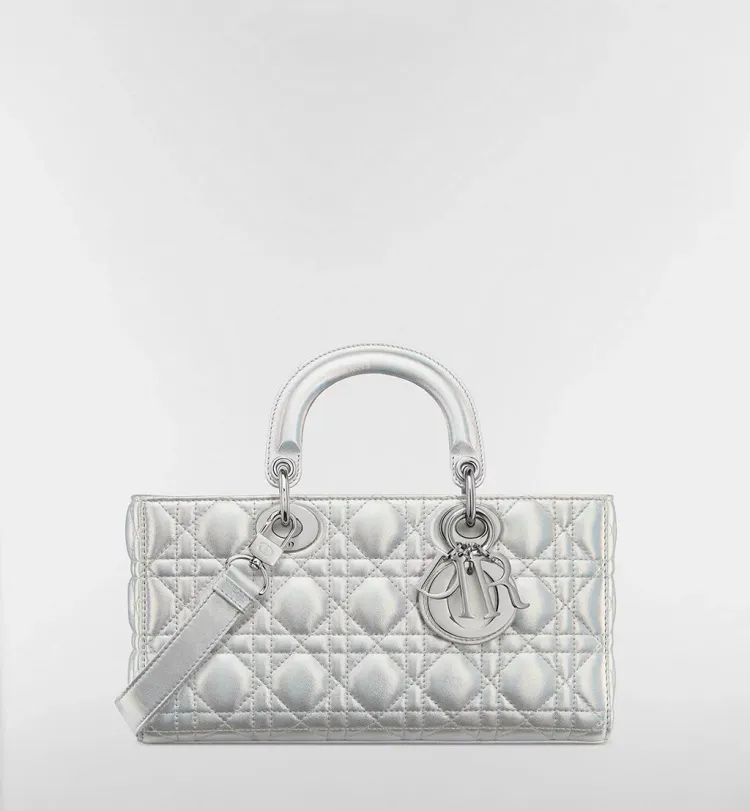 6 Elegant Dior Bags Redefining Luxury Handbags in 2026